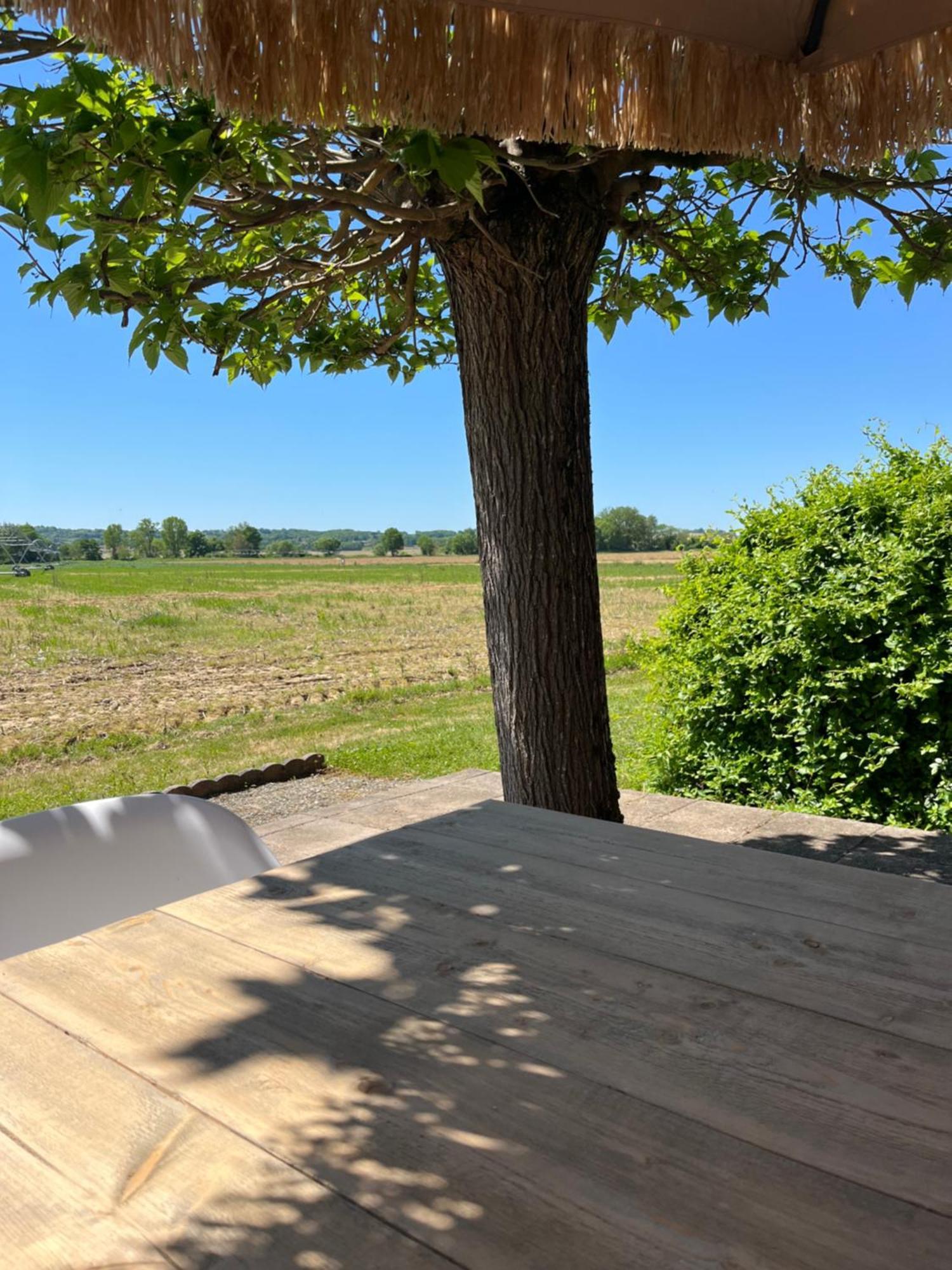 Gite 1, Domaine Logis Gascogne Saint-Justin  외부 사진